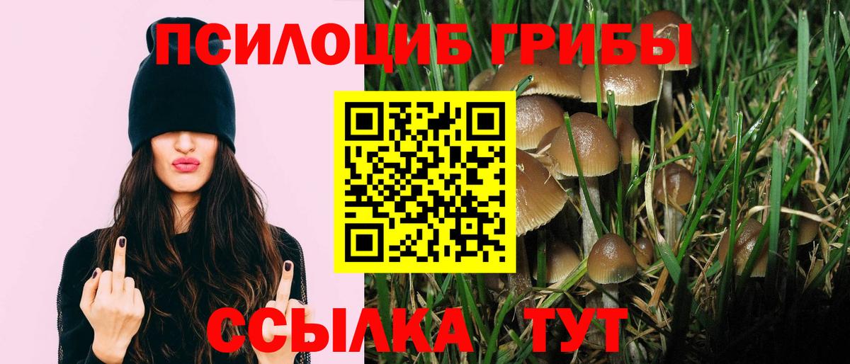 Псилоцибиновые грибы Psilocybine cubensis Орёл